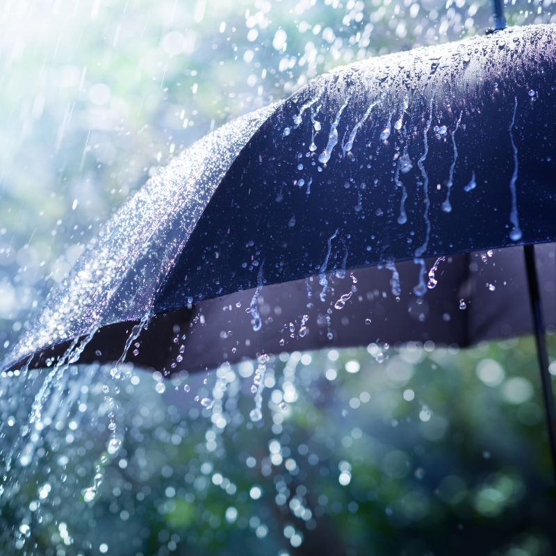 Umbrella in rain with water droplets